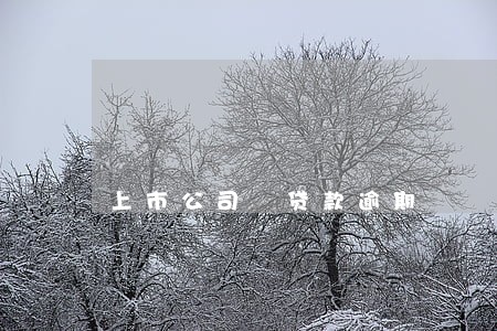 上市公司 贷款逾期